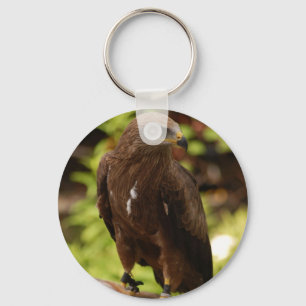 Birds of prey key ring