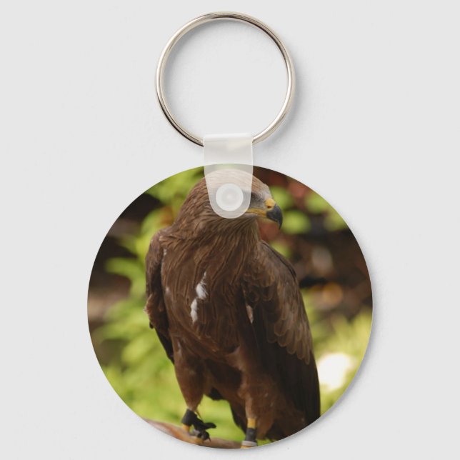 Birds of prey key ring (Front)