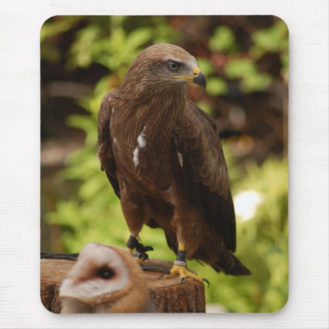 Birds of prey mouse mat (Front)