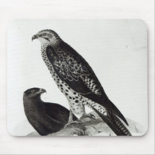 Birds of Prey Mouse Mat