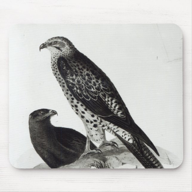 Birds of Prey Mouse Mat (Front)