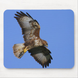 Birds of Prey Mousemats