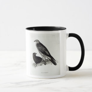 Birds of Prey Mug
