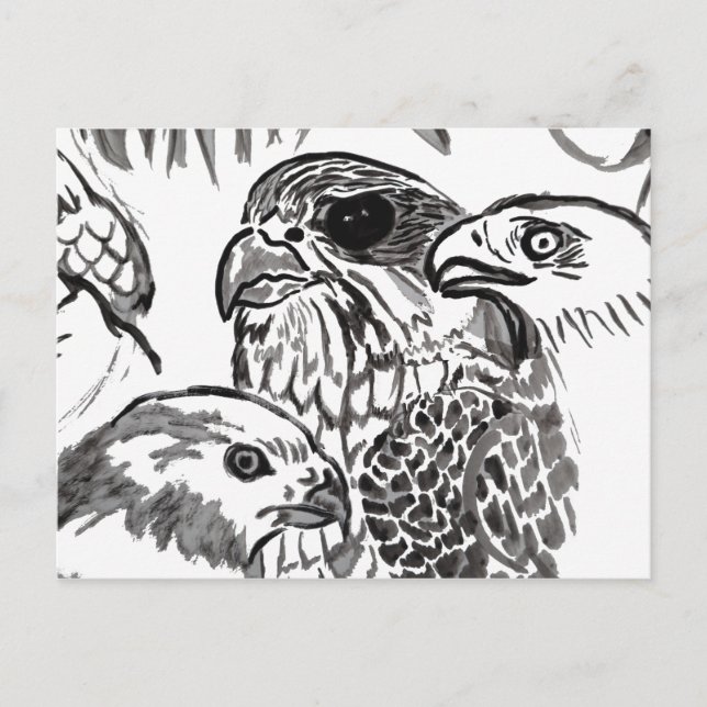 Birds of Prey Postcard (Front)