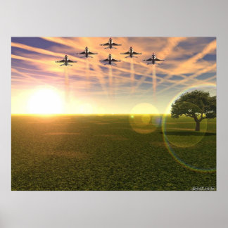 Birds Of Prey Poster