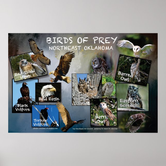 Birds of Prey Poster 19v2 (Front)