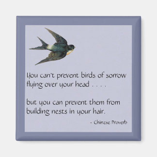 Birds of Sorrow - Magnet
