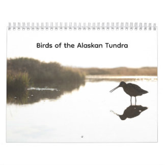 Birds of the Alaskan Tundra Calendar