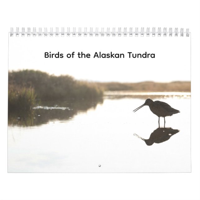 Birds of the Alaskan Tundra Calendar (Cover)