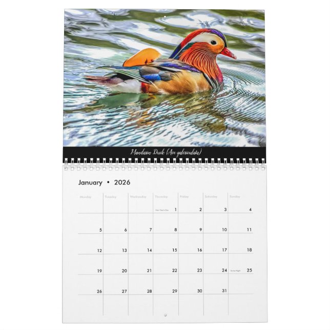 Birds of The Forest Of Dean 2021 Calendar (Jan 2026)
