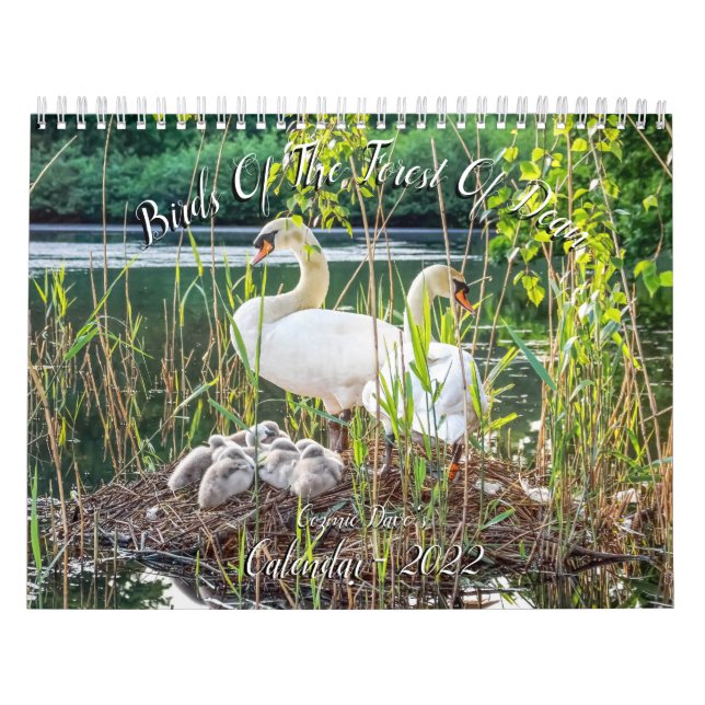 Birds of The Forest Of Dean 2022 Calendar (Cover)