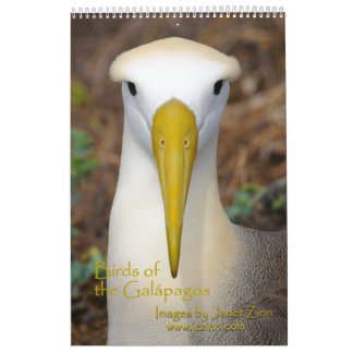 Birds of the Galapagos Calendar