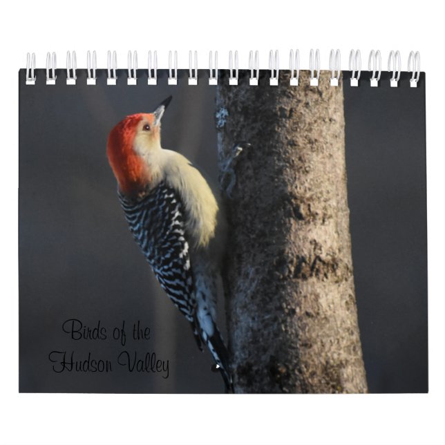 Bird's of the Hudson Valley Calendar (Cover)