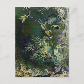 Birds of the Jungle Postcard