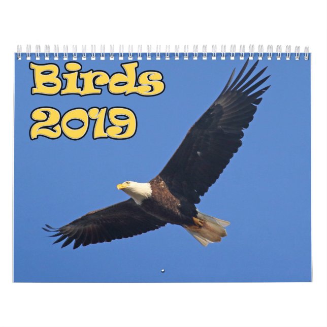 Birds of the Northeast Calendar (Cover)