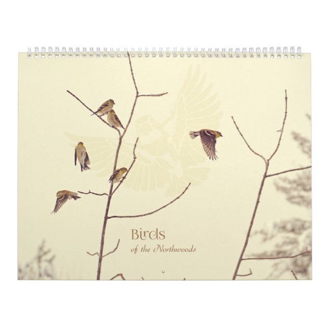 Birds of the Northwoods Calendar (Cover)