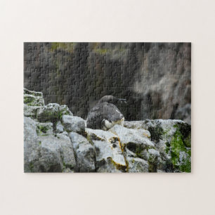 Birds of the Sea. Jigsaw Puzzle