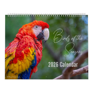 Birds of the Seasons 12 Month Nature Calendar