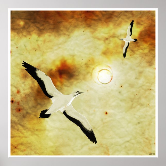 Birds of The Sun Poster (Front)