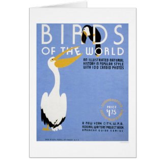 Birds Of The World 1938 WPA