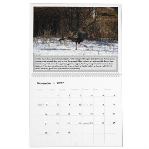Birds of Utah 2027 Calendar