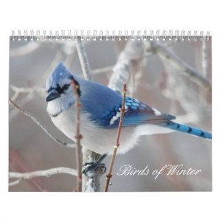 Birds of Winter Calendar