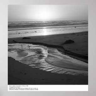 Birds on a Beach, Santa Barbara, 1966 Poster