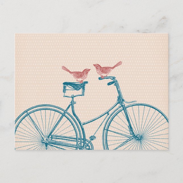 Birds on a Bicycle Postcard (Front)