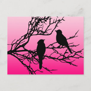 Birds on a Branch, Black Against Dawn Pink Postcard