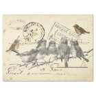 Birds on a Branch French Postmark Collage