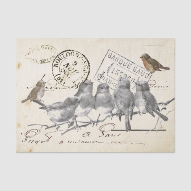Birds on a Branch French Postmark Collage Tissue Paper (Front)