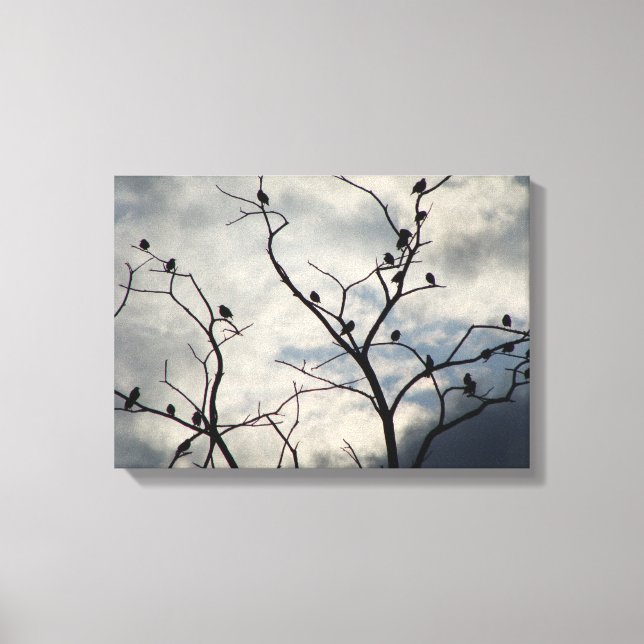 Birds on a grey day canvas print (Front)