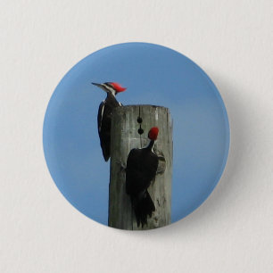 Birds on a Pole 6 Cm Round Badge