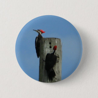 Birds on a Pole 6 Cm Round Badge