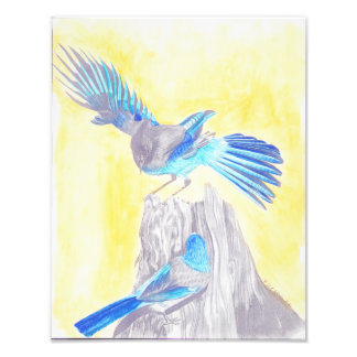 Birds on a stump photo print