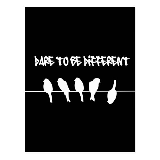 Image of Birds on a wire - dare to be different (black) Postcard