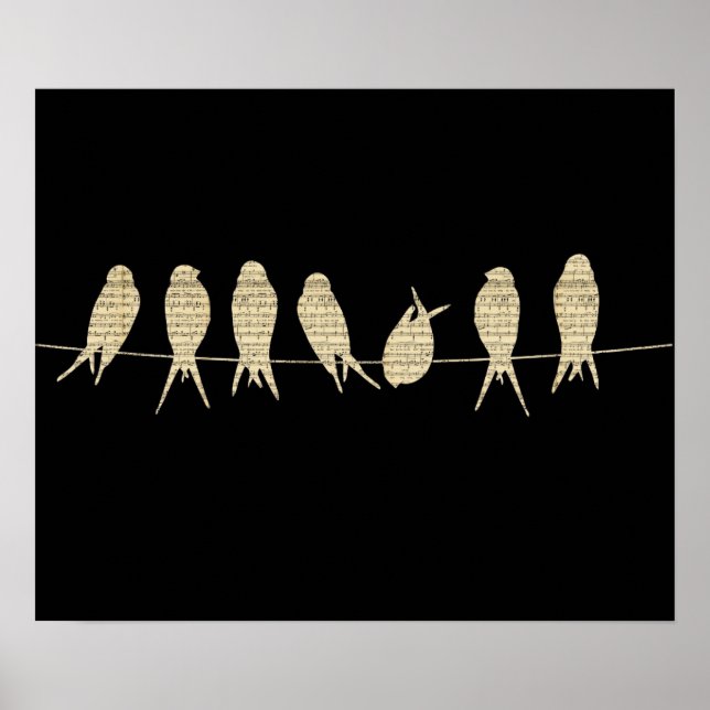 Birds On A Wire Poster (Front)