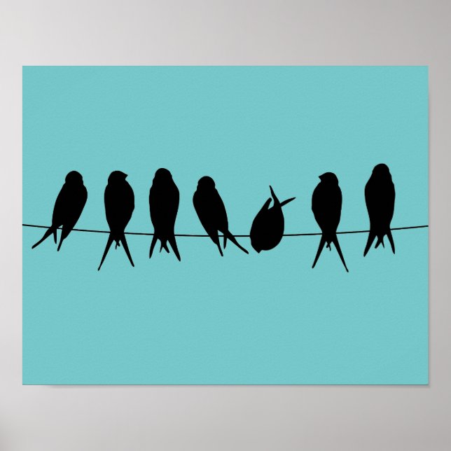 Birds on a Wire Poster (Front)