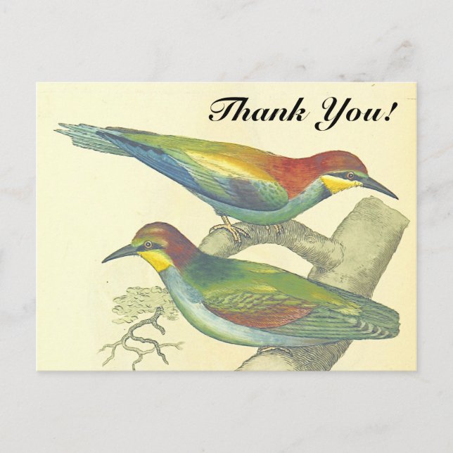Birds on Branches, Vintage Style, "Thank You!" Postcard (Front)