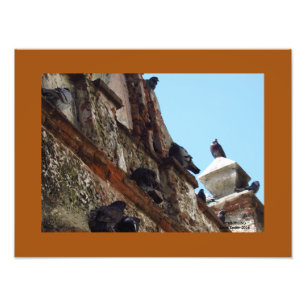Birds on Chapel at Old San Juan Photo Print