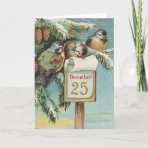 Birds on Decemeber 25th Holiday Card