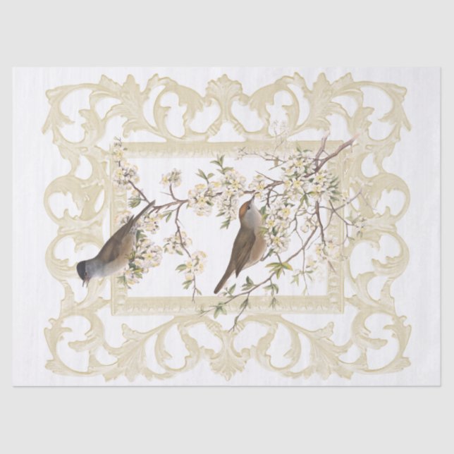 Birds on Flowering Branch Ornate Ivory Frame  Tissue Paper (Front)