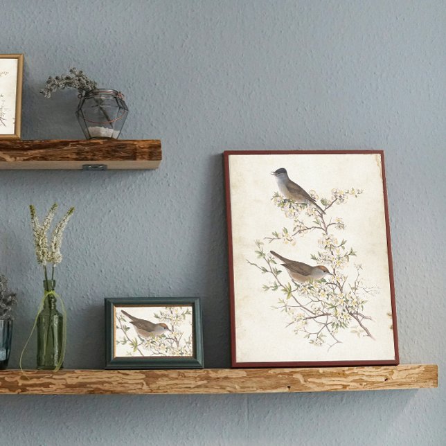 Birds on Flowering Branch Parchment Decoupage Tissue Paper (Creator Uploaded)