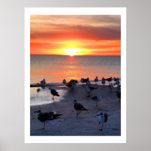 Birds On The Shore Poster