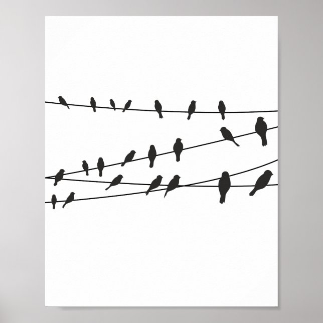 Birds on Wire Black White Poster Wall Art Decor (Front)