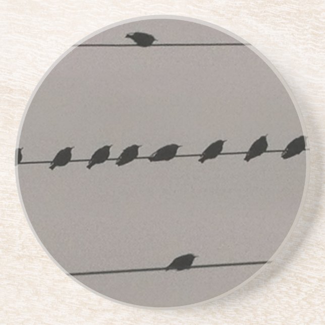 Birds on Wire Coaster (Front)