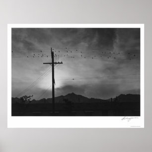 Birds On Wire, Evening 1943 Poster