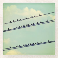 Birds on wires, vintage blue sky.