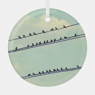 Birds on wires, vintage blue sky. glass tree decoration