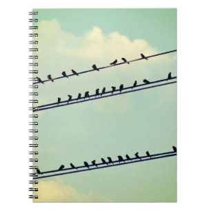 Birds on wires, vintage blue sky. notebook